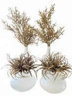 Salong vaas 4x kerst, Diversen, Kerst, Ophalen of Verzenden, Zo goed als nieuw