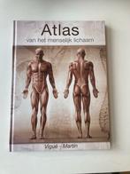 Atlas van het menselijk lichaam - Vigúe-Martín, Ophalen of Verzenden, Zo goed als nieuw, Gezondheid en Conditie