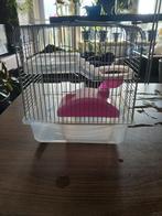 Kleine muizenkooi, Dieren en Toebehoren, Knaagdieren en Konijnen | Hokken en Kooien, Ophalen of Verzenden, Minder dan 75 cm, Kooi
