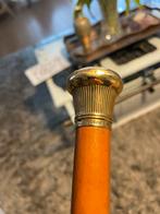 Antieke Wandelstok ca. 1890, Ophalen of Verzenden