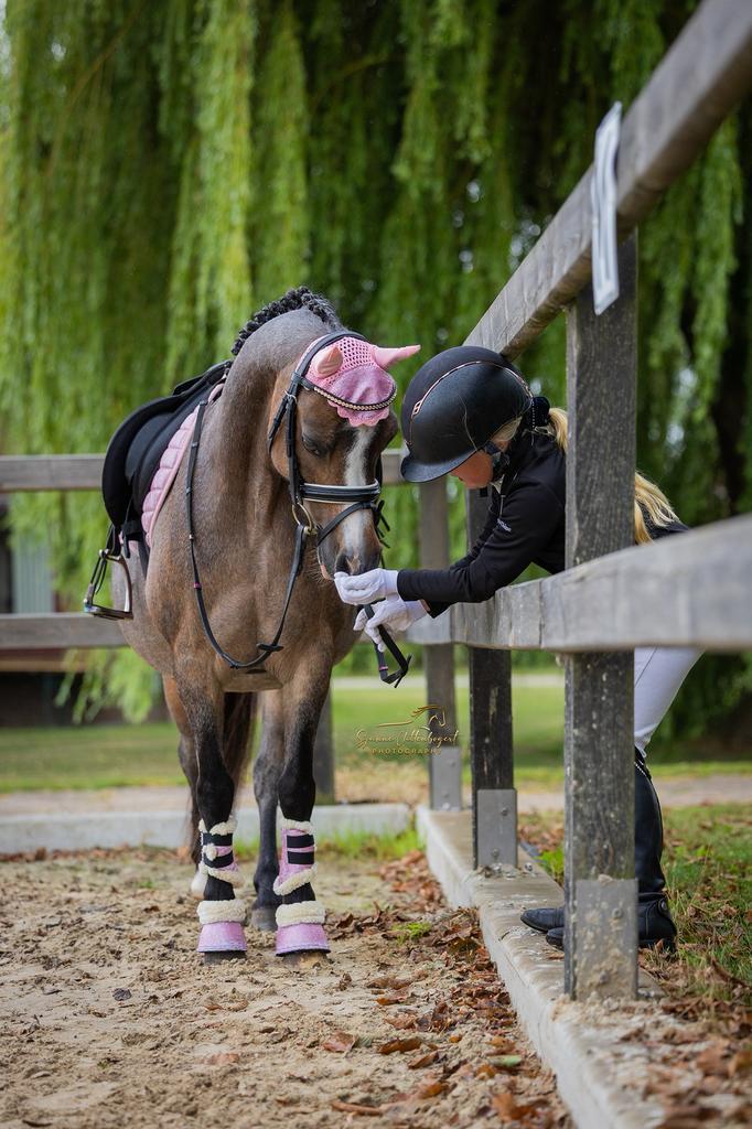 Super lieve bixie pony, Dieren en Toebehoren, Pony's, Merrie, B, B pony (1.17m tot 1.27m), 11 jaar of ouder, Met stamboom, Gechipt