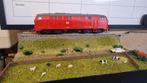 Roco Br 215 - Rode Diesellocomotief H0 digital geen decoder, Gebruikt, Ophalen of Verzenden, Roco, Analoog