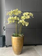 GROOT GOUDEN DESIGN BLOEMPOT + GROTE ZIJDE ORCHIDEEËN PLANT, Ophalen of Verzenden, Zo goed als nieuw, Binnen