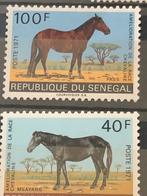 Paarden, Senegal 1970, Postzegels en Munten, Postzegels | Thematische zegels, Ophalen of Verzenden, Dier of Natuur, Postfris