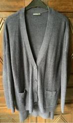 Blauw damesvest, vest langer achterpand; 46; Janina, Kleding | Dames, Grote Maten, Ophalen of Verzenden, Gedragen, Blauw, Trui of Vest