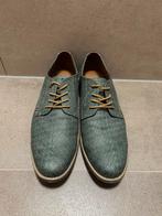 Puntschoenen heren, Ophalen of Verzenden, Gedragen, Blauw, Veterschoenen