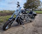 Harley Davidson VRSCAW V-Rod 240 Option, Chopper, Meer dan 35 kW, 1246 cc, Particulier