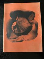 Kunst Catalogus michelangelo pistoletto, Verzenden, Gelezen, Catalogus