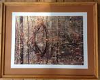 Prachtige herfstfoto (unicum) in massief houten lijst., Oorspronkelijke maker, Ophalen of Verzenden, Zo goed als nieuw, 75 tot 100 cm