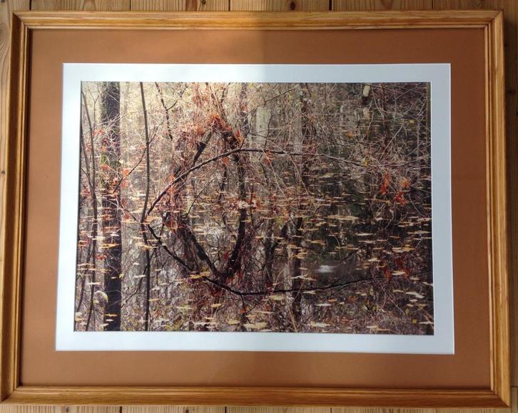 Prachtige herfstfoto (unicum) in massief houten lijst., Huis en Inrichting, Woonaccessoires | Schilderijen, Tekeningen en Foto's