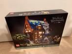 Lego 21325 nieuw geseald in doos, Kinderen en Baby's, Speelgoed | Duplo en Lego, Ophalen, Nieuw, Complete set, Lego
