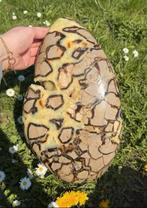 Prachtige mega septarie!, Ophalen of Verzenden, Mineraal
