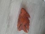 Houten vis, Verzamelen, Mineralen en Fossielen, Ophalen of Verzenden