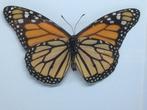 vlinder Danaus Plexippus (monarchvlinder), Ophalen of Verzenden, Nieuw, Overige soorten, Opgezet dier