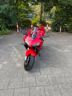 Honda CBR600RR 2003, Motoren, Sportuitlaat, 4 cilinders, Motorrijbewijs A, Super Sport