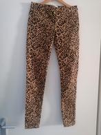 Levi's toffe tijgerprint broek / maat 14 jaar, Kinderen en Baby's, Broek, Zo goed als nieuw, Levi's, Verzenden