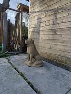 Mooi betonnen beeld van hond, Tuin en Terras, Tuinbeelden, Beton, Ophalen, Dierenbeeld