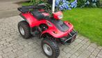 Eton quad 150cc met auto kenteken, 11 kW of minder, 150 cc, 1 cilinder