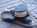 GRATIS VERZENDEN ZWARTE LEREN GIZEH BIRKENSTOCKS MT 36, Slippers, Birkenstock 36, Verzenden, Zwart