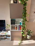 Ikea Besta kast met Riksviken deur, Ophalen, Zo goed als nieuw, 25 tot 50 cm, 50 tot 100 cm