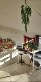 IKEA SKARSTA Zit/Sta Bureau 16080 Standing Desk - als nieuw, Ophalen, In hoogte verstelbaar, Zo goed als nieuw, Stabureau