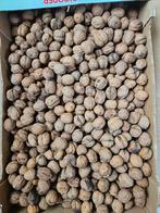 Walnoten - 4,5 kg gedroogd - Oogst 2024, Ophalen of Verzenden