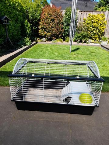 Cavia hamster kooi. beschikbaar voor biedingen
