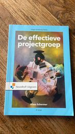 Klaas Schermer - De effectieve projectgroep, Ophalen of Verzenden, Zo goed als nieuw, Overige niveaus, Nederlands