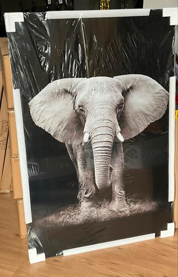 Countryfield glas schilderij wild life olifant 80x120cm beschikbaar voor biedingen