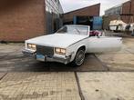 Cadillac Eldorado Biarritz | 1981 | Convertible |, Automaat, 8 cilinders, Cabriolet, Wit