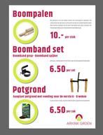 Leibomen ACTIE! Lei Glansmispel - Photinia fraseri Red Robin, Tuin en Terras, Planten | Bomen, Ophalen of Verzenden, Volle zon