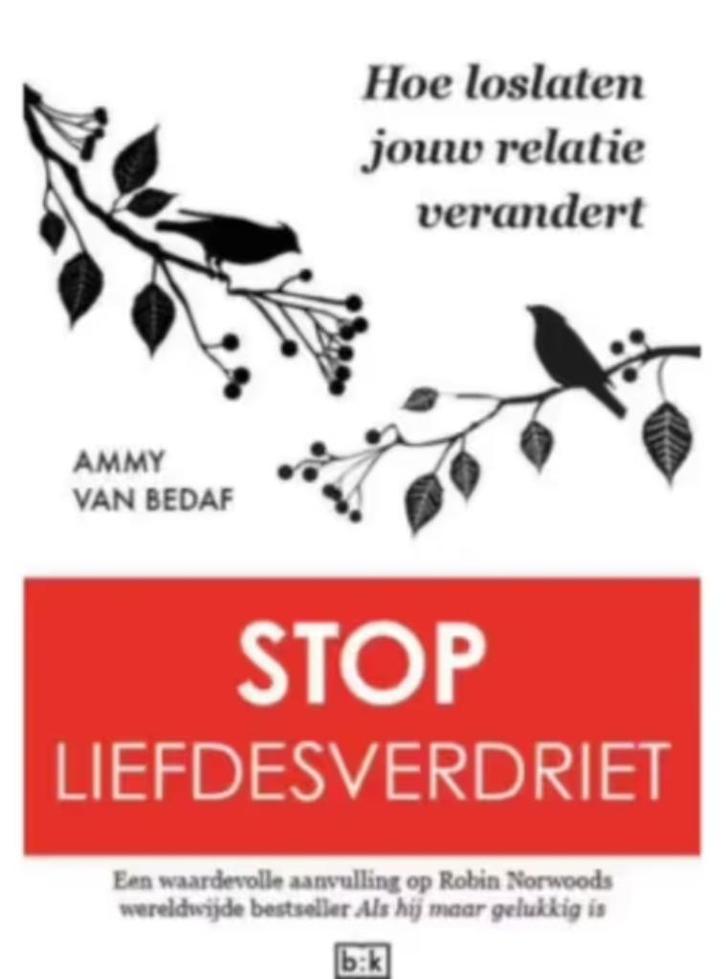 Stop liefdesverdriet (hoe loslaten jouw relatie verandert), Boeken, Psychologie, Zo goed als nieuw, Ophalen of Verzenden