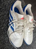 Gym, Zaalschoenen, Sport en Fitness, Voetbal, Ophalen of Verzenden, Zo goed als nieuw, Schoenen