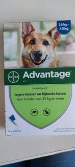 ADVANTAGE ANTI VLO, Dieren en Toebehoren, Ophalen of Verzenden, Nieuw