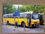Foto BUS BBA Breda 769, Verzamelen, Verzenden, Gebruikt, Bus of Metro, Overige typen