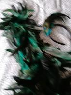 Carnaval, Ophalen, Nieuw, Carnaval