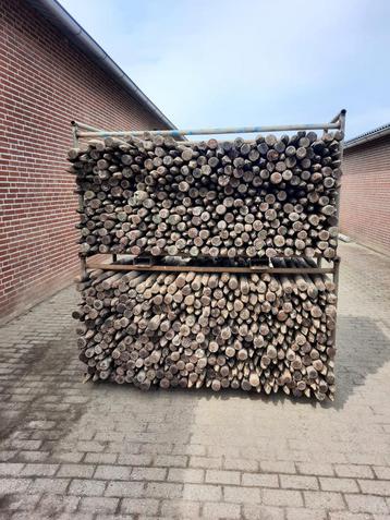 Weidepaal carbuleum 100cm en 120cm afrastering beschikbaar voor biedingen