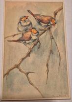 Themakaart dieren vogels Oranje Kaakje Tine van Doornik, Ophalen of Verzenden, 1940 tot 1960, Ongelopen, Overige thema's