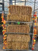 Strobalen voor Herfstdecoratie & Dieren, Tuin en Terras, Aarde en Mest, Ophalen