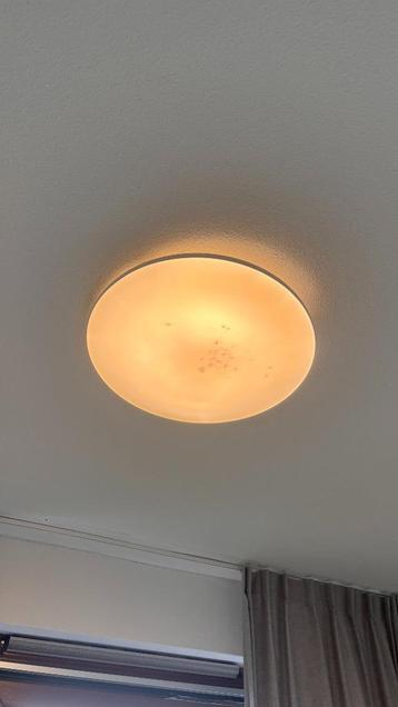 Ceiling Light – Frosted Glass beschikbaar voor biedingen