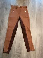 Harry’s Horse paardrij broek maat 38 bruin, Dressuur, Zo goed als nieuw, Dames, Onderkleding