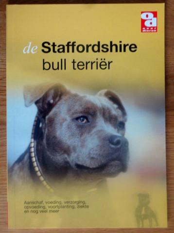 De Staffordshire Bull Terriër beschikbaar voor biedingen