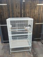 Voliere Sumba wit  79x52x134, Ophalen, Zo goed als nieuw, Metaal, Volière