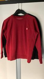 Isabel Marant trui zgan L, Kleding | Dames, Ophalen of Verzenden, Zo goed als nieuw, Groen