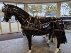 Nieuw! Arden Enkelspan Tuig Full Zwart/London Paard, Ophalen of Verzenden, Nieuw, Overige soorten