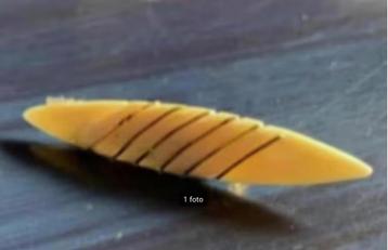 Leuke broche met gouddraad versierd beschikbaar voor biedingen