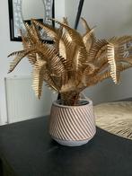 Nieuwe Goudkleurige Varen, Ophalen of Verzenden, Nieuw, Binnen