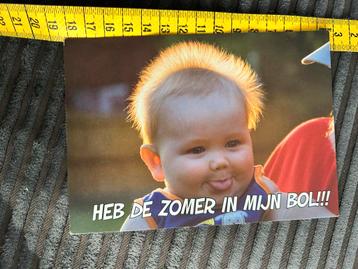 379. Idrukker kaart kind pluishaar Zomer in mijn bol beschikbaar voor biedingen