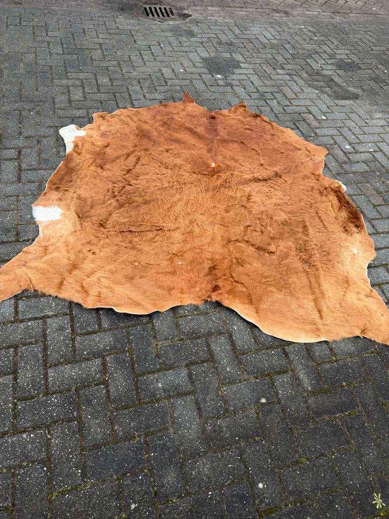 Vintage Koeienhuid Vloerkleed, Gebruikt, 100 tot 150 cm, Bruin, Ophalen of Verzenden