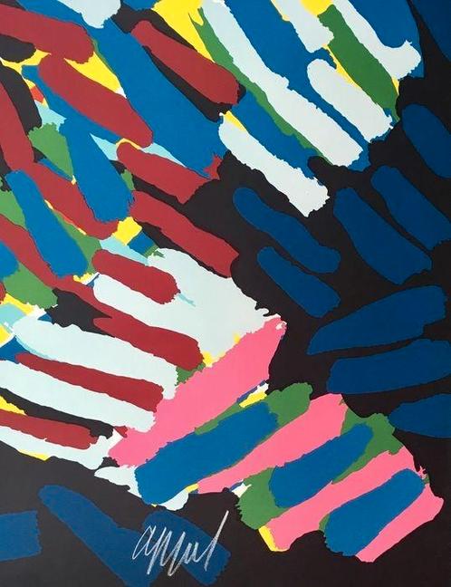 Karel Appel Litho - Gesigneerd & Genummerd, Antiek en Kunst, Kunst | Litho's en Zeefdrukken, Ophalen